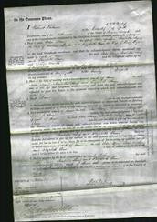 Court of Common Pleas - Ada Mary Yeadon. Isabella Lucy Lowther and Elizabeth Ann Ryan-Original Ancestry