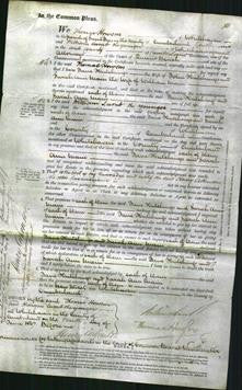 Court of Common Pleas - Jane Hutchings and Sarah Ann Main-Original Ancestry