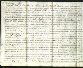 Court of Common Pleas - Susanna Abbs-Original Ancestry