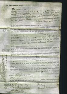 Court of Common Pleas - Joan Owen-Original Ancestry