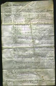 Court of Common Pleas - Sarah Berrington-Original Ancestry