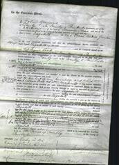 Court of Common Pleas - Elizabeth Gunter-Original Ancestry