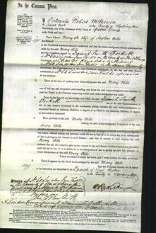 Court of Common Pleas - Mary Wiles-Original Ancestry
