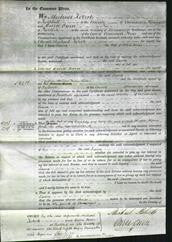 Court of Common Pleas - Laura Jones-Original Ancestry