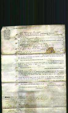 Court of Common Pleas - Margaret Ann Chaler-Original Ancestry