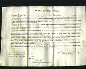 Court of Common Pleas - Dinah Reay-Original Ancestry