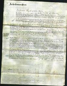 Court of Common Pleas - Elizabeth Fortune Mary Vaughan-Original Ancestry
