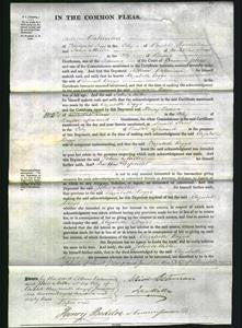 Court of Common Pleas - Elizabeth Biggs-Original Ancestry