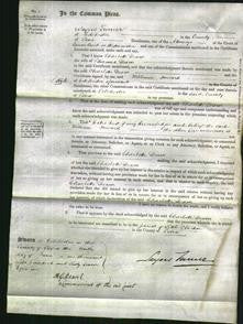 Court of Common Pleas - Charlotte Dearn-Original Ancestry