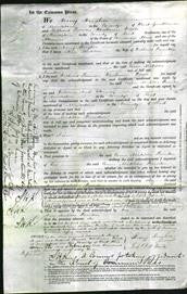 Court of Common Pleas - Ann Matilda Painton-Original Ancestry