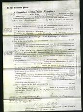 Court of Common Pleas - Sarah Johnson-Original Ancestry