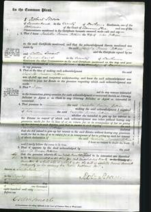 Court of Common Pleas - Isabella Pearson Pattison-Original Ancestry