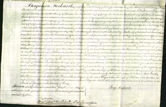 Court of Common Pleas - Eliza Smith, Ann Smith, Ann Lowter and Martha Swann-Original Ancestry