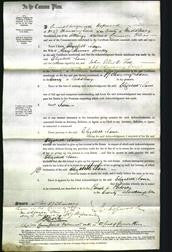Court of Common Pleas - Elizabeth Jane Smulley-Original Ancestry