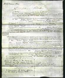 Court of Common Pleas - Elizabeth Naylor-Original Ancestry