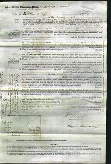 Court of Common Pleas - Charlotte Hill-Original Ancestry