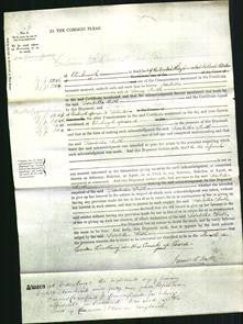 Court of Common Pleas - Isabella Smith-Original Ancestry