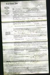 Court of Common Pleas - Caroline Sheppard-Original Ancestry