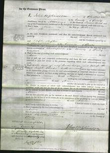 Court of Common Pleas - Ann Shemwell-Original Ancestry