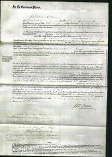 Court of Common Pleas - Mary Shoon-Original Ancestry