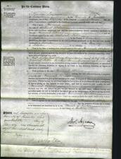 Court of Common Pleas - Hannah Wilson-Original Ancestry