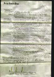 Court of Common Pleas - Mary Knapton-Original Ancestry