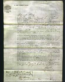 Court of Common Pleas - Ellen Walmesley-Original Ancestry