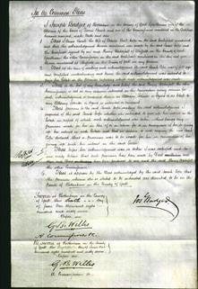 Court of Common Pleas - Sarah Cope-Original Ancestry