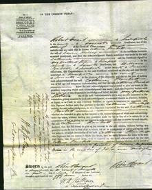 Court of Common Pleas - Catherine Plunkett Keeling-Original Ancestry