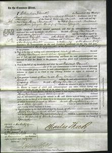 Court of Common Pleas - Mercy Rowland, Alice Gingell-Original Ancestry