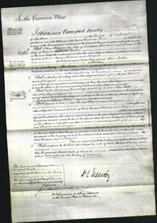 Court of Common Pleas - Eleanor Headlam and Margaret Watson-Original Ancestry