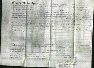 Deed by Married Women - Ann Palmer Travers-Original Ancestry