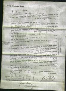 Court of Common Pleas - Anne Catherale-Original Ancestry