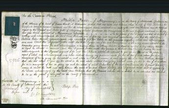 Court of Common Pleas - Ann Richards-Original Ancestry