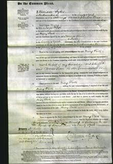 Court of Common Pleas - Mary Firth-Original Ancestry