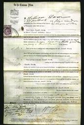 Court of Common Pleas - Sarah Anne Cohen-Original Ancestry