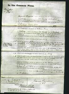 Court of Common Pleas - Mary Drew-Original Ancestry