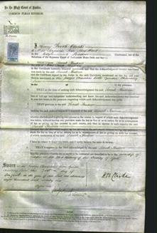 Court of Common Pleas - Sarah Hudson-Original Ancestry