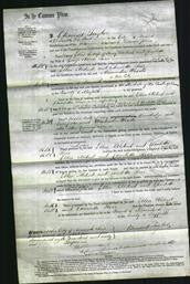 Court of Common Pleas - Ellen Aldred and Charlotte Rose-Original Ancestry