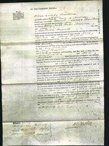 Court of Common Pleas - Mary Nicholson and Mary Binfield-Original Ancestry