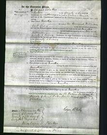 Court of Common Pleas - Martha De St. Croix-Original Ancestry