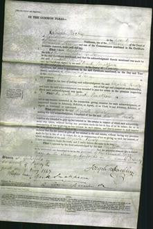 Court of Common Pleas - Elizabeth Busby-Original Ancestry