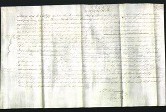 Deed by Married Women - Sarah Hodgson, Jane Harrison, Ann Baines, Mary Hodgson, Mary Hodgson, Ann Hunt-Original Ancestry
