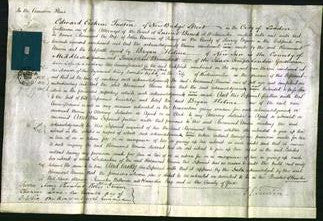 Court of Common Pleas - Rosamund Unwin-Original Ancestry