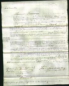 Court of Common Pleas - Ellen Hughes-Original Ancestry