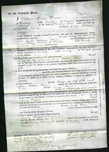 Court of Common Pleas - Fanny Wragge-Original Ancestry