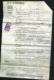 Court of Common Pleas - Marianna Elizabeth Cooper-Original Ancestry