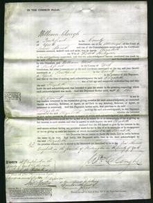 Court of Common Pleas - Elizabeth Hodgson-Original Ancestry