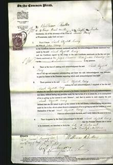 Court of Common Pleas - Sarah Elizabeth Casey-Original Ancestry