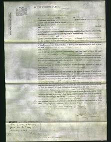 Court of Common Pleas - Sarah Sophia Whitamore and Mary Lester-Original Ancestry